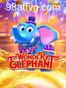 WonderElephant